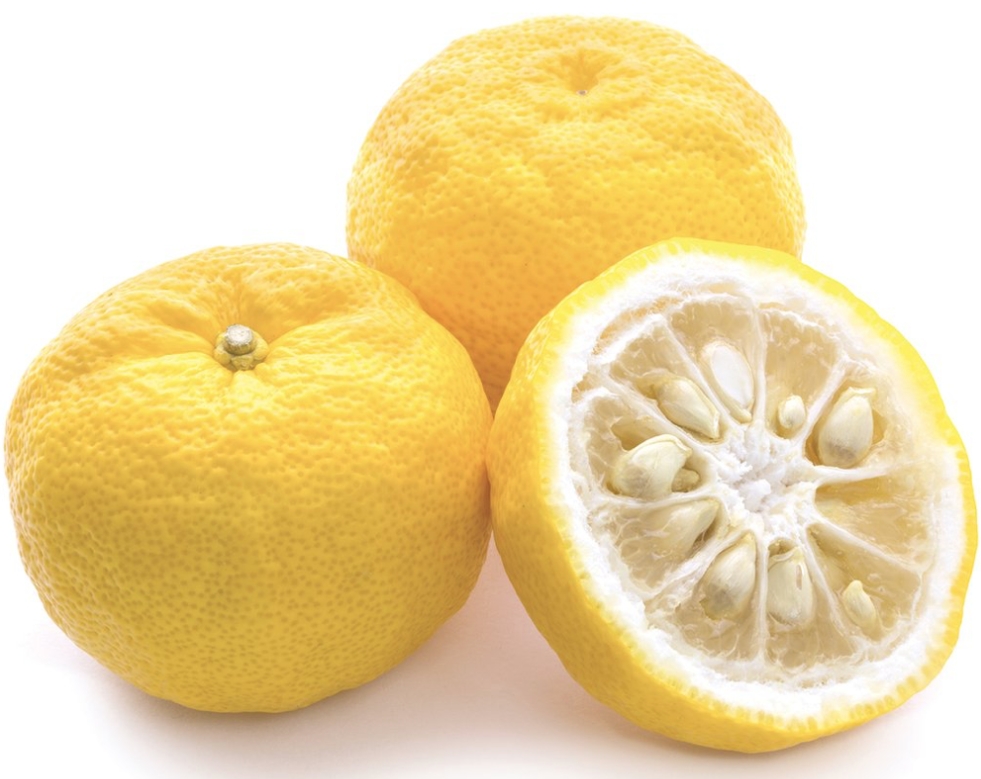 PUREA DI YUZU 6 X 1 KG