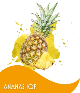 ANANAS A CUBETTI 20 X 20 1 X 10 KG