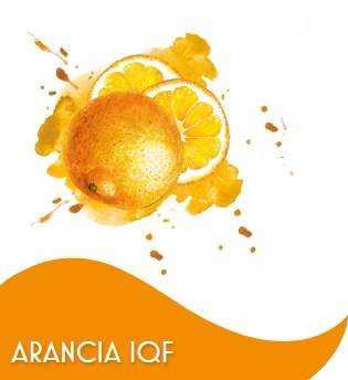 ARANCIA TRITURATO 1 X 10 KG