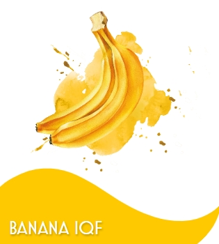 BANANA A RONDELLE 1 X 10 KG
