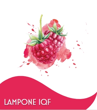 LAMPONI BRICIOLE 2 X 2,5 KG