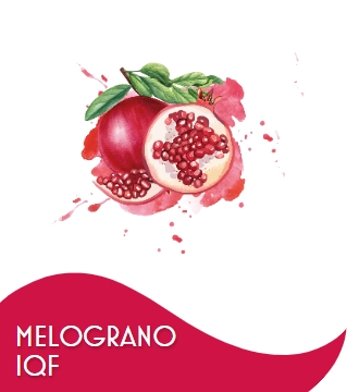 MELOGRANO 1 X 10 KG