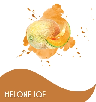 MELONE A CUBETTI 1 X 10 KG