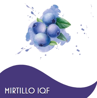 MIRTILLO NERO COLTIVATO 2 X 2,5 KG