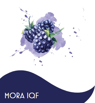 MORA SELVATICA piccola EUROPA 2 X 2,5 KG