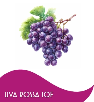 UVA NERA/ROSSA CRIMSON 1 X 10 KG